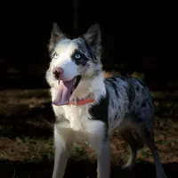 processed/9aa4ce0c-3b51-4096-94ed-cda65735662d/facility/c93d7e91-01a7-41da-8899-ce08713e477c