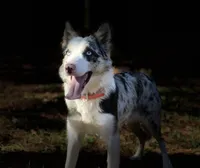 processed/9aa4ce0c-3b51-4096-94ed-cda65735662d/facility/c93d7e91-01a7-41da-8899-ce08713e477c