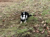 processed/9aa4ce0c-3b51-4096-94ed-cda65735662d/listing/2bb9c77e-017c-4814-b438-f52ec04ecee9/d7204412-301f-47a9-ae6d-cf9751a8892c