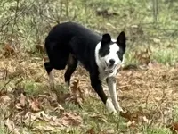 processed/9aa4ce0c-3b51-4096-94ed-cda65735662d/listing/2bb9c77e-017c-4814-b438-f52ec04ecee9/fd3c363c-c33e-48a8-943e-304f22fd555c