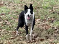 processed/9aa4ce0c-3b51-4096-94ed-cda65735662d/listing/2bb9c77e-017c-4814-b438-f52ec04ecee9/ff80fb2f-09c9-4673-aa51-93e351478421