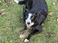 processed/9aa4ce0c-3b51-4096-94ed-cda65735662d/listing/755f258b-09d1-4891-8229-3f97e7c50d8e/dd534c8a-4cec-4908-8d6a-d1c59cbb707c