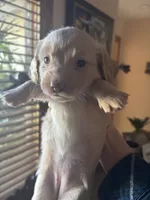 processed/9aa90fbf-8b1f-490c-b767-993e90bdf04b/listing/0494e9f7-0f44-4815-ab24-7fd0fd186c28/28bd3af8-cc87-4057-beb1-c78852076e68