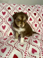 processed/9aa97207-10c3-42a3-930b-f29a63664db1/listing/71aef3da-13f1-4066-9a7e-628e3ae78e4f/192b537b-4d64-4f81-b8a0-dfd0f6b645c4