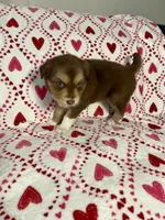 processed/9aa97207-10c3-42a3-930b-f29a63664db1/listing/71aef3da-13f1-4066-9a7e-628e3ae78e4f/3afadc01-1589-46bb-b69d-b5770535cc6d