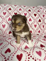 processed/9aa97207-10c3-42a3-930b-f29a63664db1/listing/71aef3da-13f1-4066-9a7e-628e3ae78e4f/50e97364-8ba8-4bd7-9887-4c25481666ca