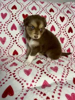 processed/9aa97207-10c3-42a3-930b-f29a63664db1/listing/71aef3da-13f1-4066-9a7e-628e3ae78e4f/5573ee87-6de4-4754-8571-c16a5eebb94e