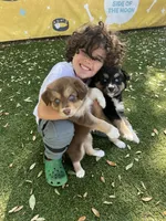 processed/9aa97207-10c3-42a3-930b-f29a63664db1/listing/71aef3da-13f1-4066-9a7e-628e3ae78e4f/ac222a6d-10cd-4af0-8df2-881cf408d2b6