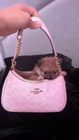 Dior, a female Pomeranian for sale in Waddell, AZ – 1 of 4