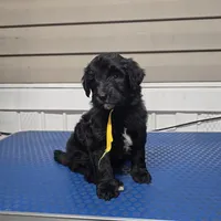 processed/9aae5940-362f-443a-a5e1-98b98e5a11d4/listing/18320576-a181-4f14-800a-eeb81fe483b9/66676ec0-8fa4-4ddb-9660-e7ad2f4dee9e