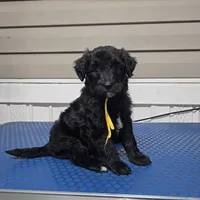 processed/9aae5940-362f-443a-a5e1-98b98e5a11d4/listing/18320576-a181-4f14-800a-eeb81fe483b9/de0da6e3-9840-45a8-b519-4d0c3c75690e