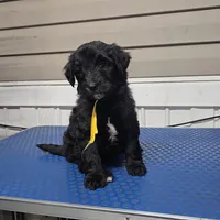 processed/9aae5940-362f-443a-a5e1-98b98e5a11d4/listing/18320576-a181-4f14-800a-eeb81fe483b9/ef14cc23-6ef9-45e0-8b03-da90730fa1af