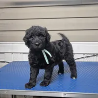 processed/9aae5940-362f-443a-a5e1-98b98e5a11d4/listing/3e2e58d3-be1d-4c47-a0a0-a48363d892ab/00676f51-6860-47c6-8e48-be05c2879b5a