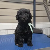 processed/9aae5940-362f-443a-a5e1-98b98e5a11d4/listing/3e2e58d3-be1d-4c47-a0a0-a48363d892ab/ad27d2d9-7e36-4a6f-941d-1e2588bb889b