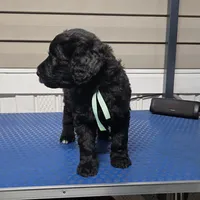 processed/9aae5940-362f-443a-a5e1-98b98e5a11d4/listing/3e2e58d3-be1d-4c47-a0a0-a48363d892ab/e4ca2e71-7e3f-4dd5-a1ae-34824d2d21d8