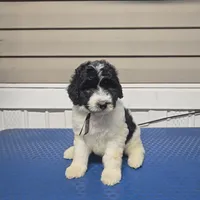 processed/9aae5940-362f-443a-a5e1-98b98e5a11d4/listing/4653edbb-a02d-4e78-a388-ee9edb21fa04/8855fa37-9237-40d3-8ffc-f7d171802dda