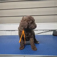 processed/9aae5940-362f-443a-a5e1-98b98e5a11d4/listing/4dae4640-88f0-471b-aa3c-361f07a4cbcb/45a3aade-1e5d-4a14-bd5e-24c5a8d05788