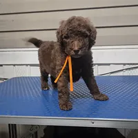 processed/9aae5940-362f-443a-a5e1-98b98e5a11d4/listing/4dae4640-88f0-471b-aa3c-361f07a4cbcb/550c809c-46a7-4a1e-a81a-ecc8bea9e0ed