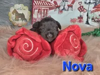 processed/9ab966d1-0186-4fbb-b444-3e210d58f40c/listing/cacf196c-2450-4e81-878c-f28ad4cf84a0/2ec04639-a574-4879-ad3d-58ad41dcc8a6