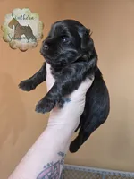 processed/9ab966d1-0186-4fbb-b444-3e210d58f40c/listing/cacf196c-2450-4e81-878c-f28ad4cf84a0/4697e786-fad0-43f4-93f4-ac9509f5b45c