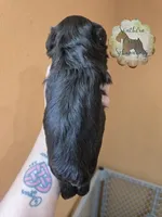 processed/9ab966d1-0186-4fbb-b444-3e210d58f40c/listing/cacf196c-2450-4e81-878c-f28ad4cf84a0/b8edf9e1-9f63-4c76-afa2-0a47bd3bc5b8