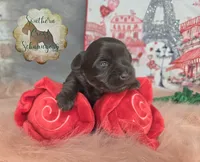 processed/9ab966d1-0186-4fbb-b444-3e210d58f40c/listing/cacf196c-2450-4e81-878c-f28ad4cf84a0/d4d45dfe-ee56-45a3-be17-c18d9b598115