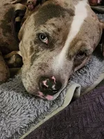 processed/9abf865a-6c49-4cf3-88f4-06be9aa95223/facility/9dd92d4c-8a49-4560-932c-d518def5d1ab