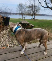 processed/9abf865a-6c49-4cf3-88f4-06be9aa95223/facility/a8de3346-2d50-4229-8869-4cdc97583235