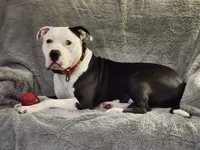 processed/9abf865a-6c49-4cf3-88f4-06be9aa95223/facility/d4ebb8f1-c5b2-4e7b-9934-dd9d3b960c85