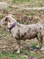 processed/9abf865a-6c49-4cf3-88f4-06be9aa95223/facility/f2be926f-c54a-493b-9dde-d586d0868aab