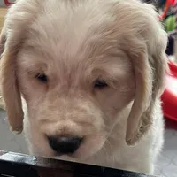 processed/9ac85d8b-2182-4280-873c-b4f602204f86/listing/5679c0d6-cccb-4d0d-b2ad-315c3b77a77c/0132ad65-4753-40de-a639-71bfff01fd85