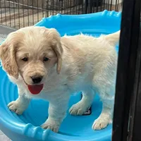 processed/9ac85d8b-2182-4280-873c-b4f602204f86/listing/5679c0d6-cccb-4d0d-b2ad-315c3b77a77c/341f1c5f-4199-4d4f-9b8b-ced865582d1e