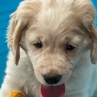 processed/9ac85d8b-2182-4280-873c-b4f602204f86/listing/5679c0d6-cccb-4d0d-b2ad-315c3b77a77c/4aed1b63-e8bd-44b8-9aab-02f0f015c0e2