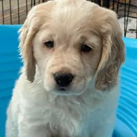 processed/9ac85d8b-2182-4280-873c-b4f602204f86/listing/5679c0d6-cccb-4d0d-b2ad-315c3b77a77c/5525750c-8b85-4596-acde-f94839b88a68