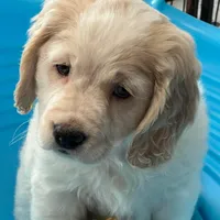 processed/9ac85d8b-2182-4280-873c-b4f602204f86/listing/5679c0d6-cccb-4d0d-b2ad-315c3b77a77c/5891cc50-d7ac-448c-a1b5-016f0a6598f9