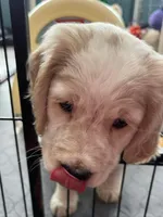 processed/9ac85d8b-2182-4280-873c-b4f602204f86/listing/5679c0d6-cccb-4d0d-b2ad-315c3b77a77c/890f3167-9fbd-4235-8080-2ccf2b535508