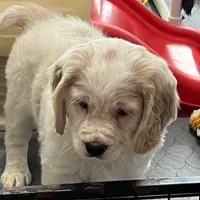 processed/9ac85d8b-2182-4280-873c-b4f602204f86/listing/5679c0d6-cccb-4d0d-b2ad-315c3b77a77c/e190af33-80d9-4025-9a16-e7be5f4bf3b7