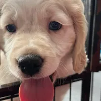 processed/9ac85d8b-2182-4280-873c-b4f602204f86/listing/5679c0d6-cccb-4d0d-b2ad-315c3b77a77c/e35d2a88-c839-48ea-8718-d03c71ecc7ea