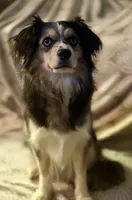 processed/9ad48893-d249-4f53-95b5-a36bd4c041a3/listing/5fbb5e30-9a9d-4fb5-ab0d-1ec023aee7c9/618fcbd9-ba3e-4c0e-ad8d-84ad6a2a9734