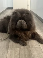 processed/9ad5b701-728f-4660-9fae-ee95fbdccd15/listing/5d6da30c-b3e2-4a4f-ab4c-99e907009e7a/62465612-a0c6-48e1-83a1-57f4008c0c87