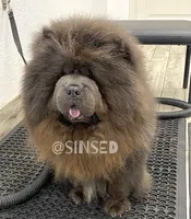 processed/9ad5b701-728f-4660-9fae-ee95fbdccd15/listing/5d6da30c-b3e2-4a4f-ab4c-99e907009e7a/649c796a-f1df-4f86-b013-63b41086b54d