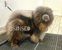 processed/9ad5b701-728f-4660-9fae-ee95fbdccd15/listing/5d6da30c-b3e2-4a4f-ab4c-99e907009e7a/7c46fe19-5796-4497-af83-a4ba45aab63a