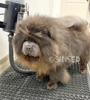 processed/9ad5b701-728f-4660-9fae-ee95fbdccd15/listing/5d6da30c-b3e2-4a4f-ab4c-99e907009e7a/8bdefe8e-7c10-4759-b74b-01fe0177452e