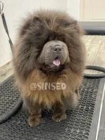 processed/9ad5b701-728f-4660-9fae-ee95fbdccd15/listing/5d6da30c-b3e2-4a4f-ab4c-99e907009e7a/98cbfb18-d642-44cb-ac59-7e67f8a808e7