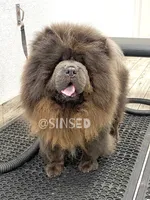 processed/9ad5b701-728f-4660-9fae-ee95fbdccd15/listing/5d6da30c-b3e2-4a4f-ab4c-99e907009e7a/a7fcedb7-021b-4676-aac4-3aedb80a41a4