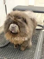 processed/9ad5b701-728f-4660-9fae-ee95fbdccd15/listing/5d6da30c-b3e2-4a4f-ab4c-99e907009e7a/c31eb577-ec44-4f7c-b81a-163542c575e1