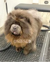 processed/9ad5b701-728f-4660-9fae-ee95fbdccd15/listing/5d6da30c-b3e2-4a4f-ab4c-99e907009e7a/f5b16cfe-ee00-4fad-8e20-efac5d9da2e5