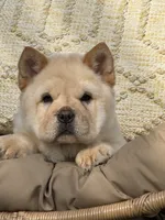 processed/9ad5b701-728f-4660-9fae-ee95fbdccd15/listing/b321ae9f-bef2-4ee8-999c-8c983a3bedb2/108b86de-69c4-4534-9885-aa400c65c055