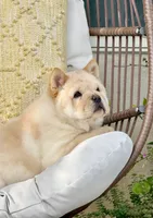 processed/9ad5b701-728f-4660-9fae-ee95fbdccd15/listing/b321ae9f-bef2-4ee8-999c-8c983a3bedb2/158e5294-1d40-4e0b-b710-a3cd21246388