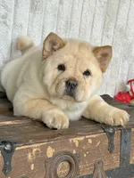 processed/9ad5b701-728f-4660-9fae-ee95fbdccd15/listing/b321ae9f-bef2-4ee8-999c-8c983a3bedb2/47e88312-49d5-4fa3-ac7a-8858107d6e6e